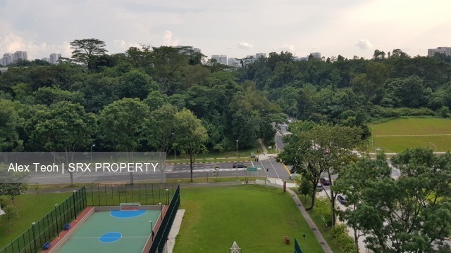 Bukit Batok Street 31 thumbnail photo